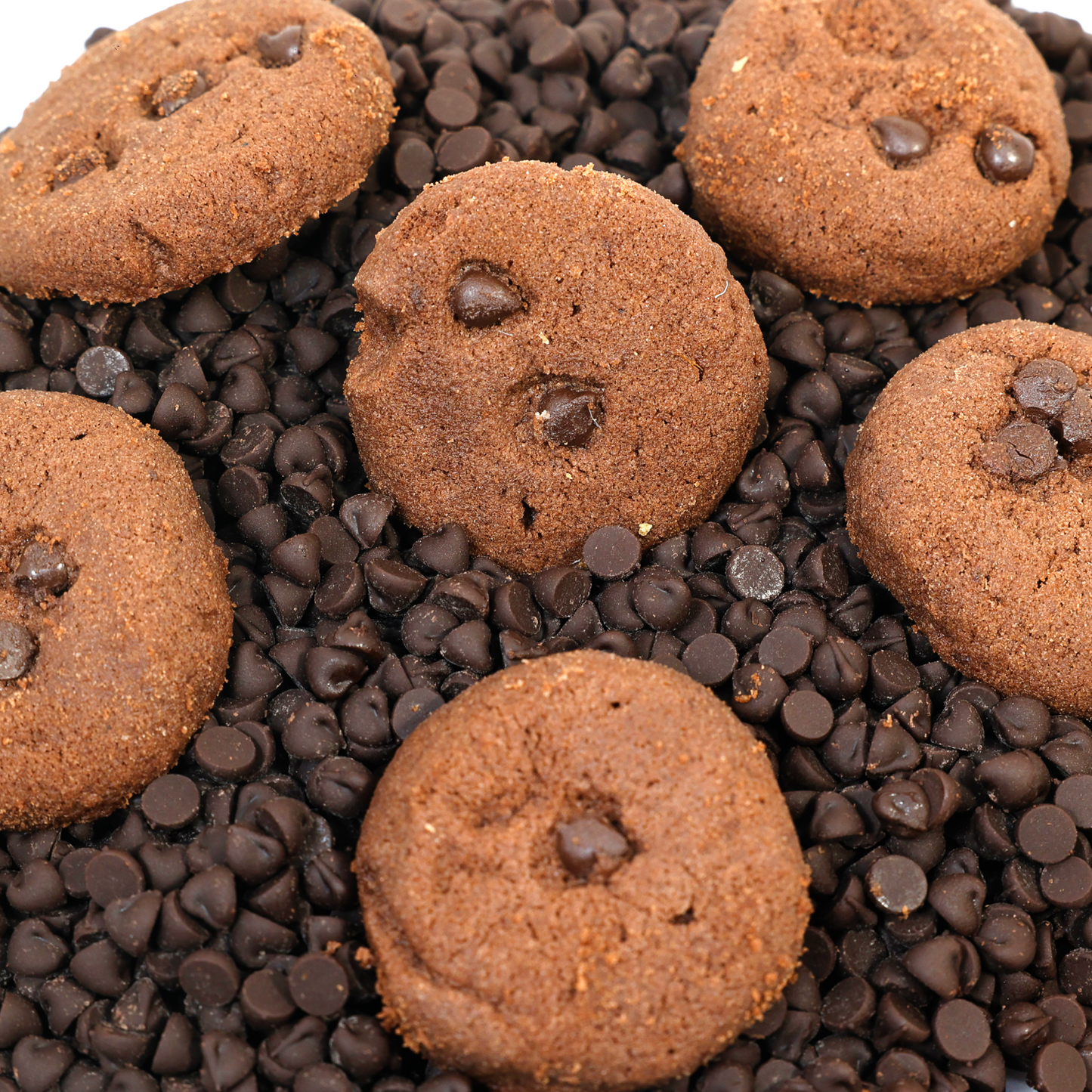 Chocolate Choco Chips Cookies