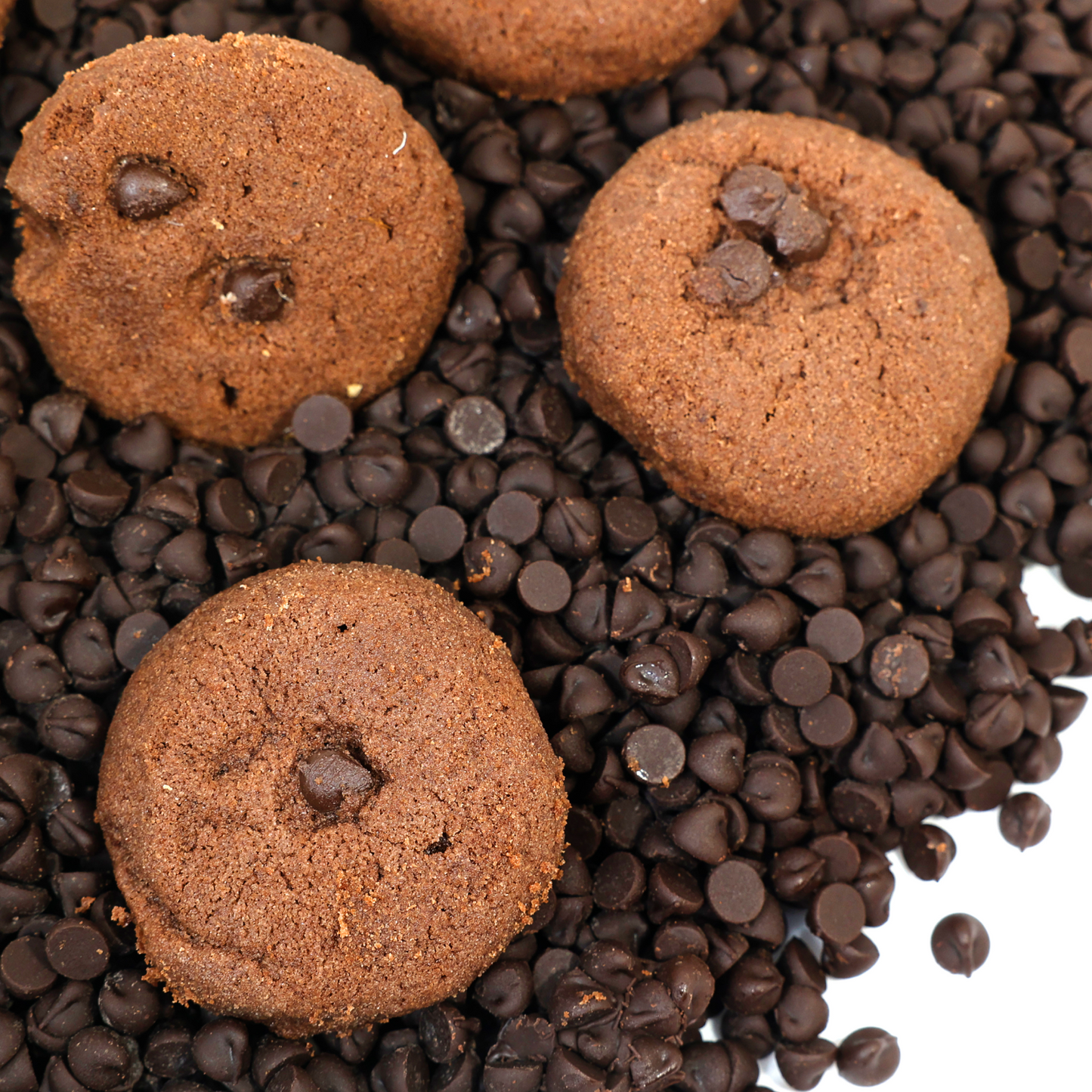 Chocolate Choco Chips Cookies